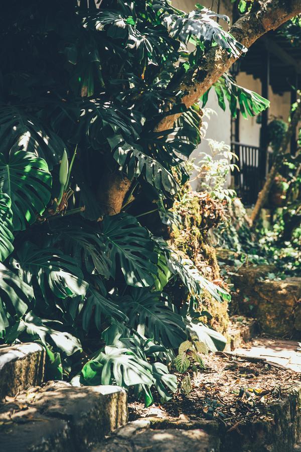 Hotel Hacienda Baza Tibana Esterno foto